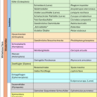 Artenliste_Exkursion_Untertullnerbach_30_04_25